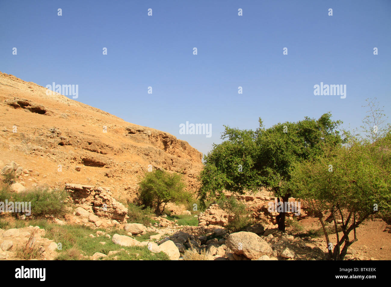 La Samaria, Einot Petzael in Nahal Petzael Foto Stock