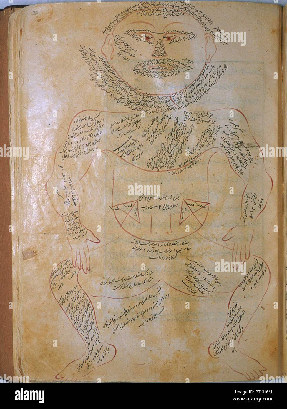 La muscolatura umana, da MANSUR'S ANATOMY, creato dal persiano di studioso e di medico, Mansur ibn Ilyas (ca. 1370-1423). Il muscolo figura è mostrata frontalmente, con estese arabo le didascalie che descrivono i muscoli. Copia completata da Hasan ibn Ahmad, lavorando in Isfahan, nel 1488. Foto Stock