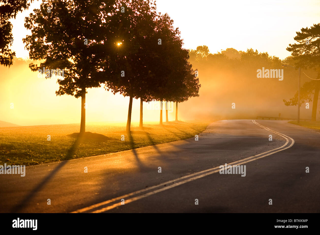 Sunrise sulla strada nebbiosa mattina nebbiosa, in Pennsylvania, STATI UNITI D'AMERICA Foto Stock