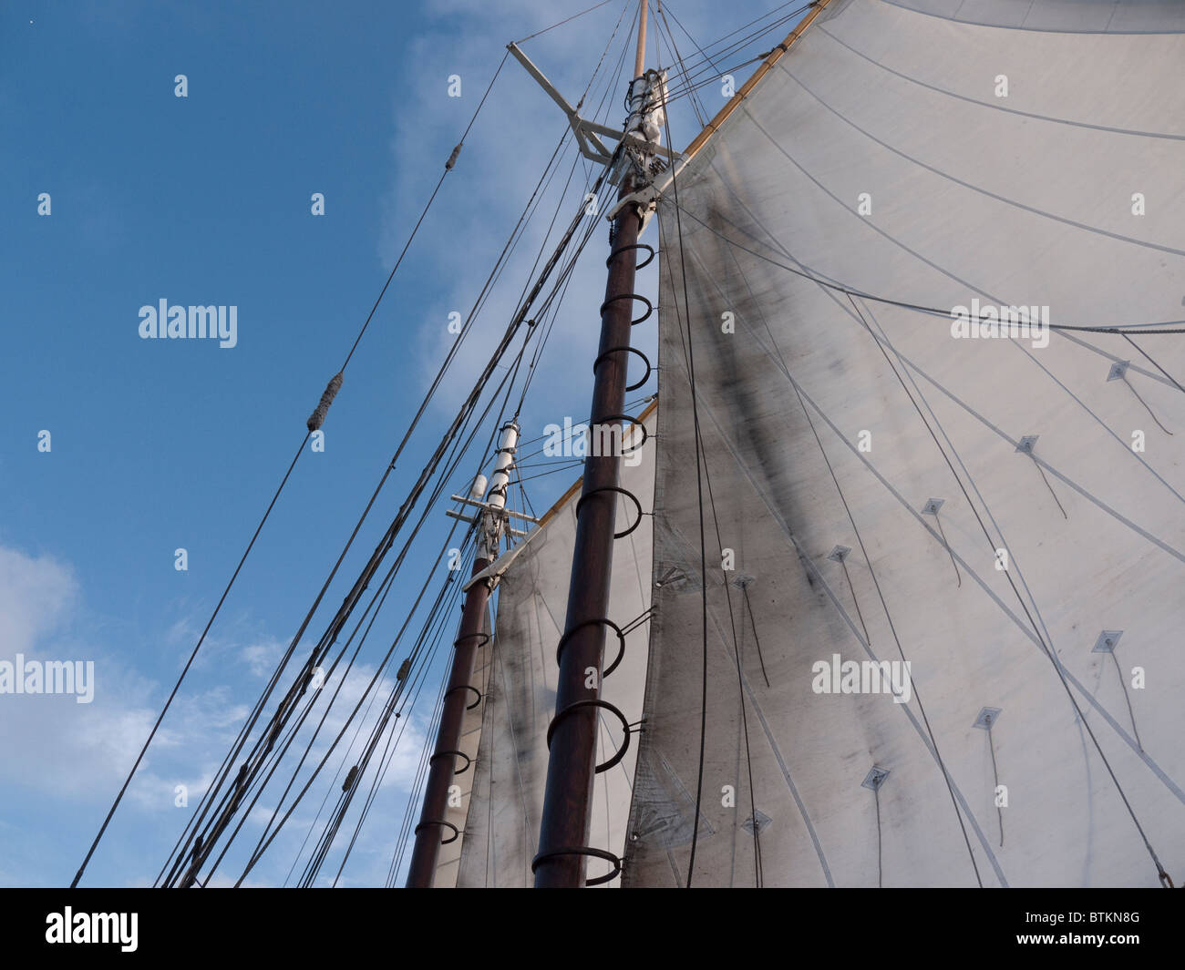 Nave a vela la goletta Appledore off Key West in Florida USA Foto Stock