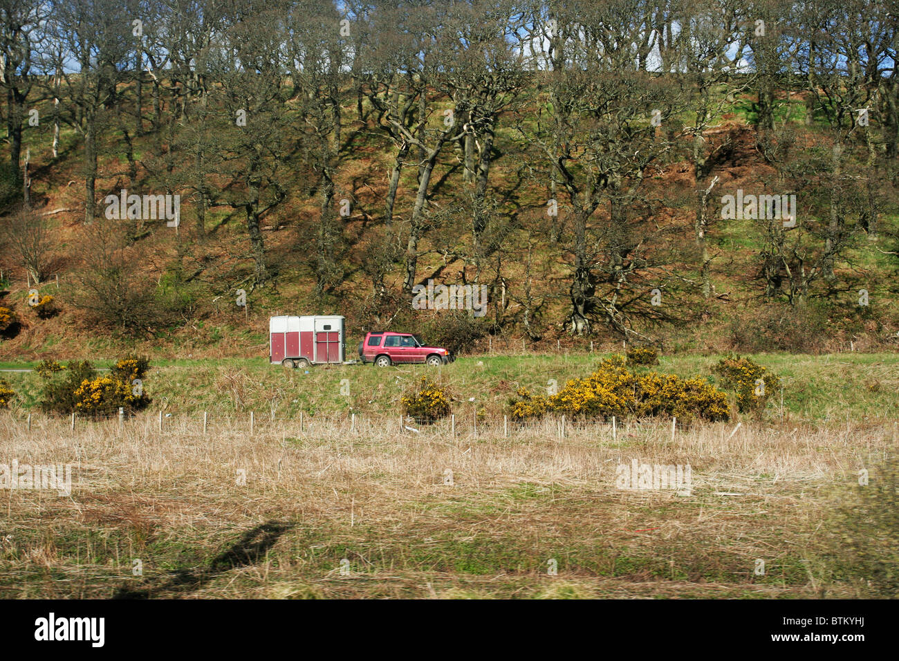 Una Land Rover di traino di un rimorchio cavallo vicino Berwick-Upon-Tweed in Northumberland, Inghilterra Foto Stock