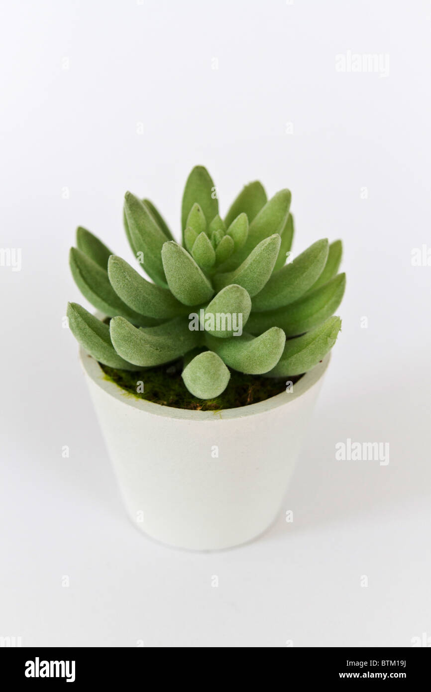 Decorativi fiori artificiali Foto Stock