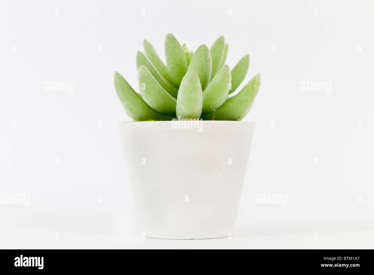 Decorativi fiori artificiali Foto Stock