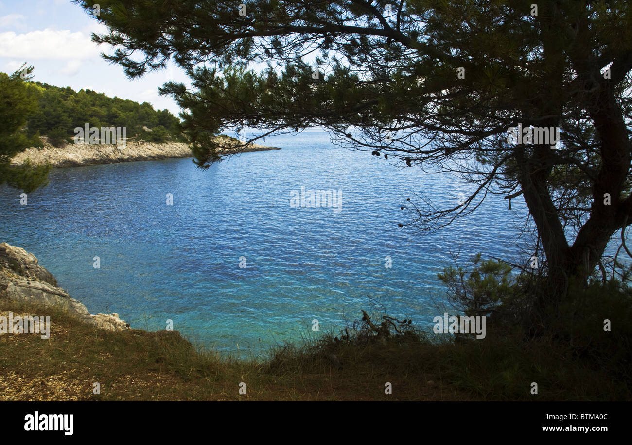 Nessuno in vista in questa bella Baia di Isola di Losinj, Croazia. Andiamo a fare il bagno! Foto Stock