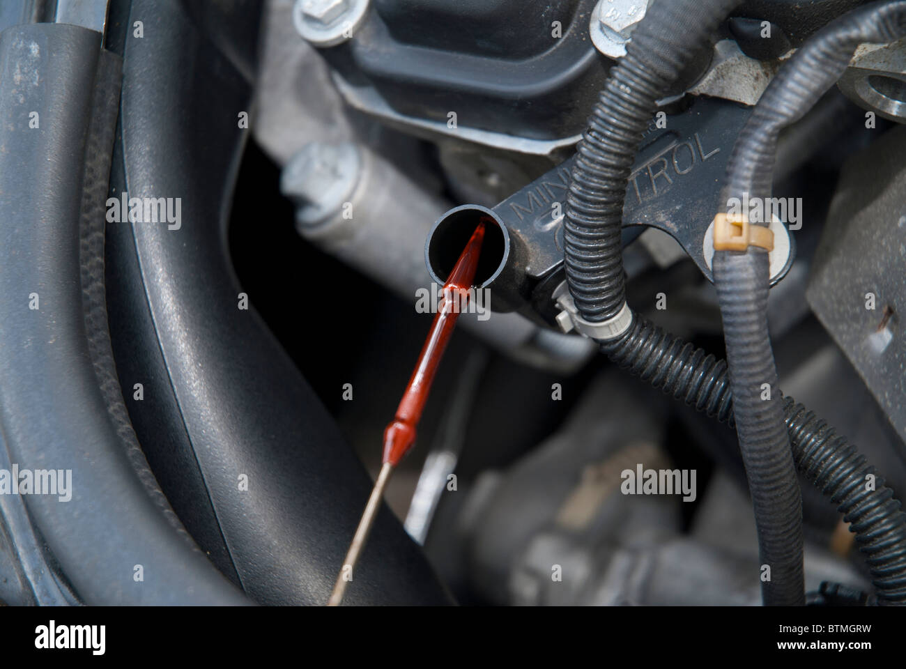 Controllo auto l'astina di livello olio sul motore per auto Foto Stock