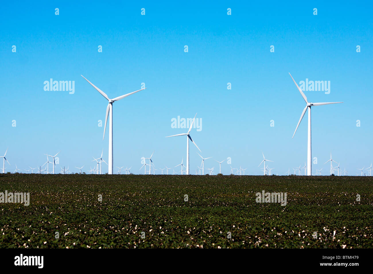 Wind Farm le torri a turbina si elevano al di sopra dei campi di cotone nelle zone rurali del Texas. Foto Stock