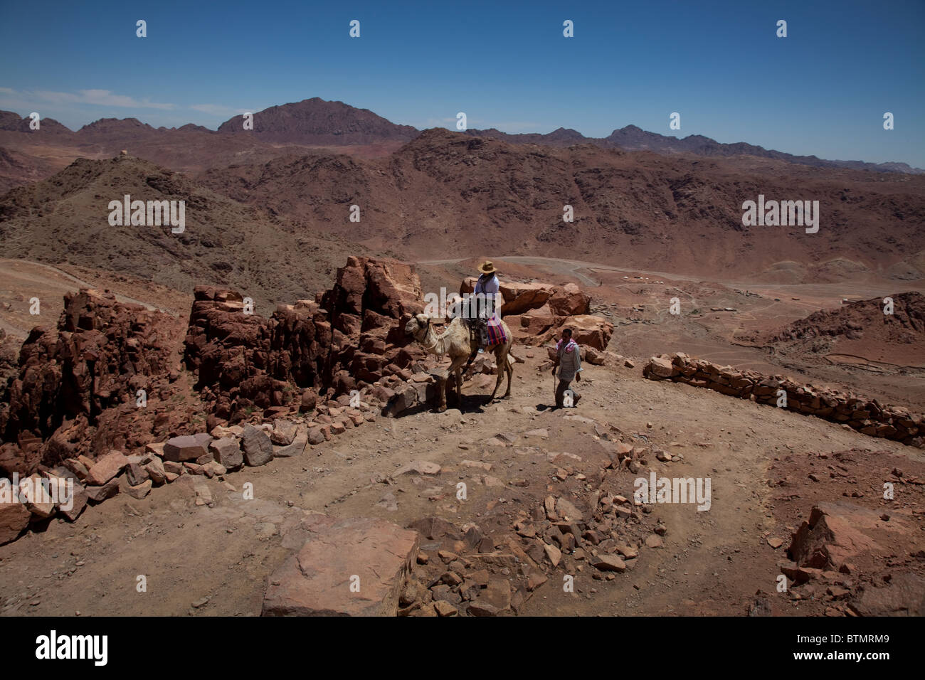 Un turista su Cavalca un cammello fino Monte di Mosè, Saint Catherine Monastero, Egitto Foto Stock