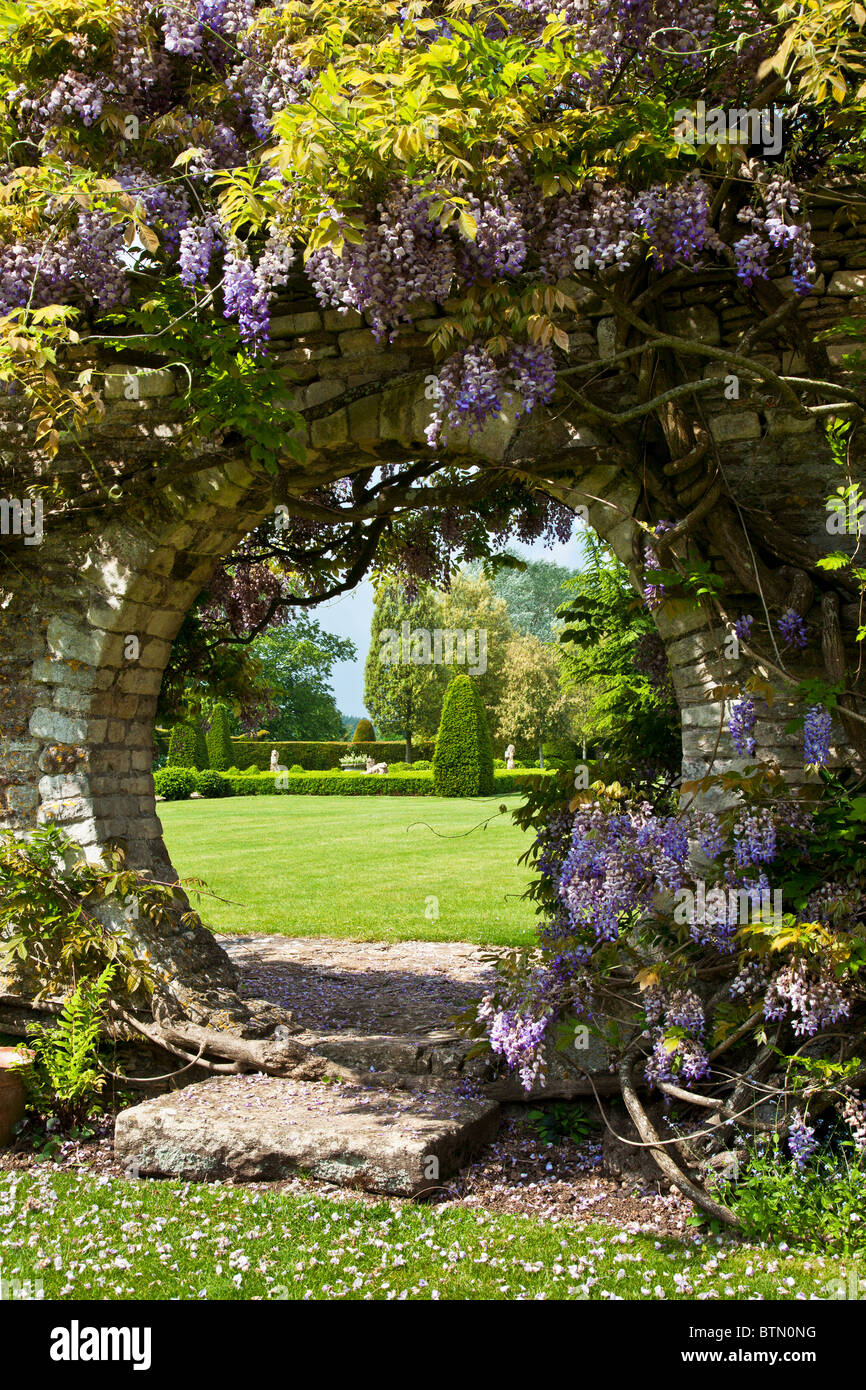 Il Glicine cresce su una apertura circolare in una parete del giardino con una vista attraverso il prato al di là. Foto Stock