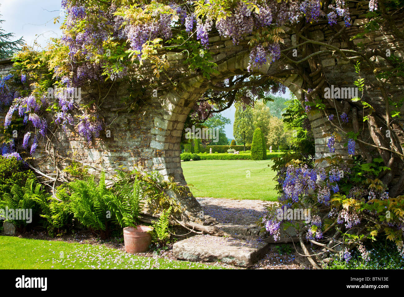 Il Glicine cresce su una apertura circolare in una parete del giardino con una vista attraverso il prato al di là. Foto Stock