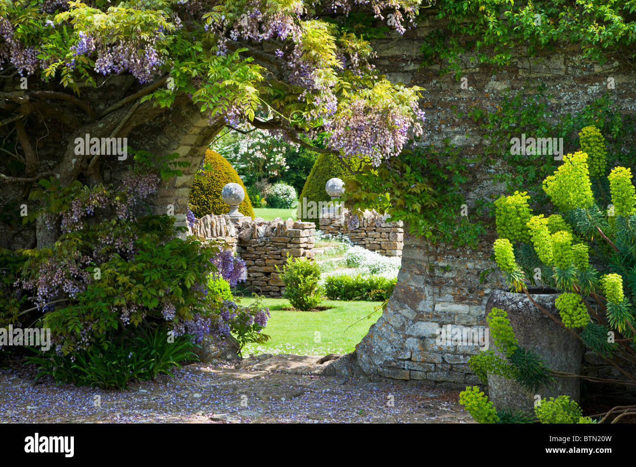 Il Glicine cresce su una apertura circolare in una parete del giardino con una vista attraverso il prato al di là. Foto Stock