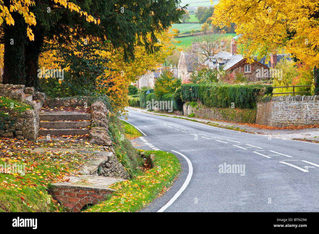 Autunno vista sulla campagna di Cotswold dal villaggio di Coleshill, Wiltshire, Inghilterra, Regno Unito Foto Stock