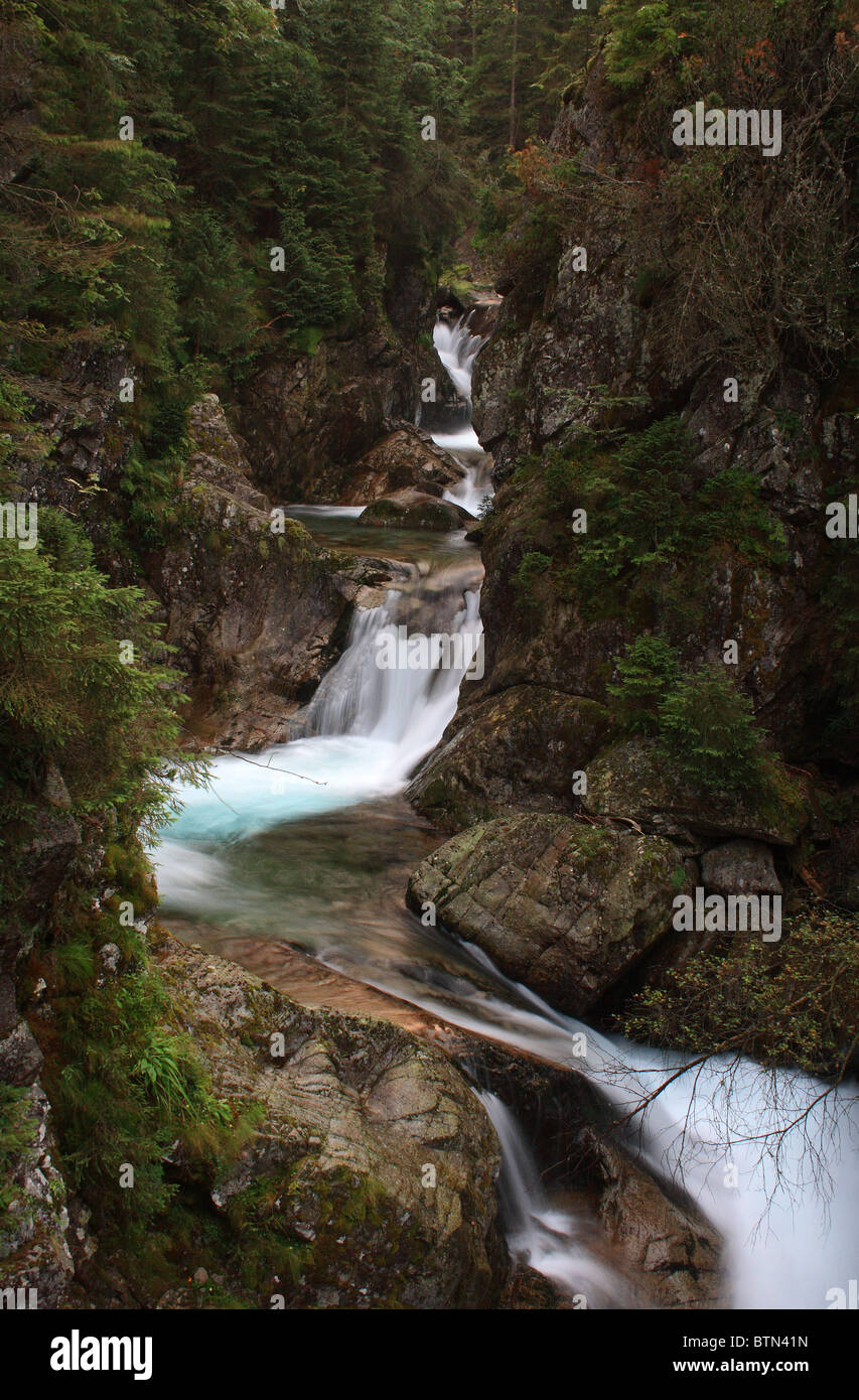 Wodogrzmoty Mickiewicza - il complesso di cascate nei monti Tatra, Polonia Foto Stock