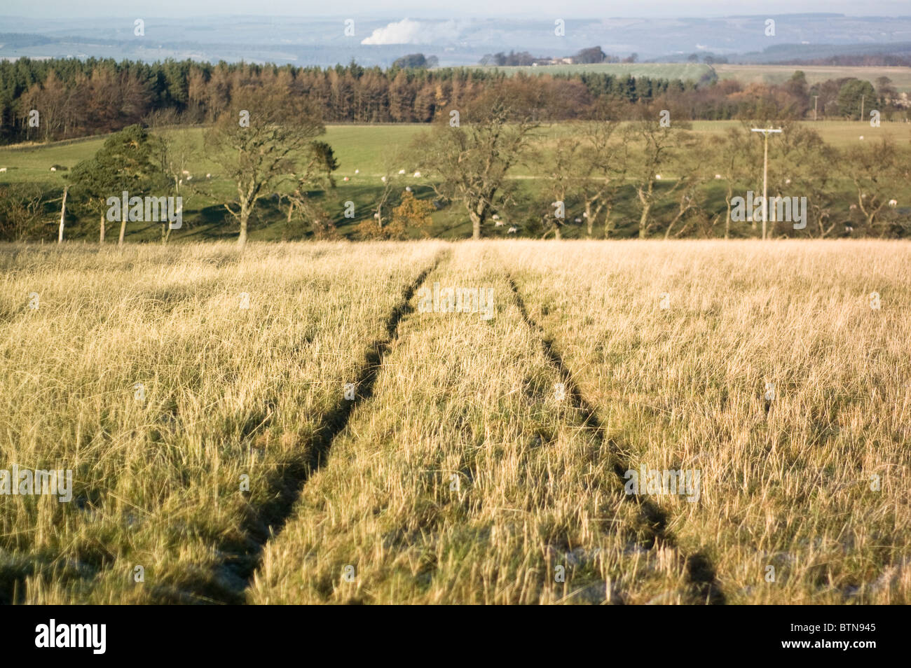 Un campo in Northumberland, con i cingoli del trattore in primo piano e fumi da Hexham di fabbrica Egger visibile in distanza. Foto Stock