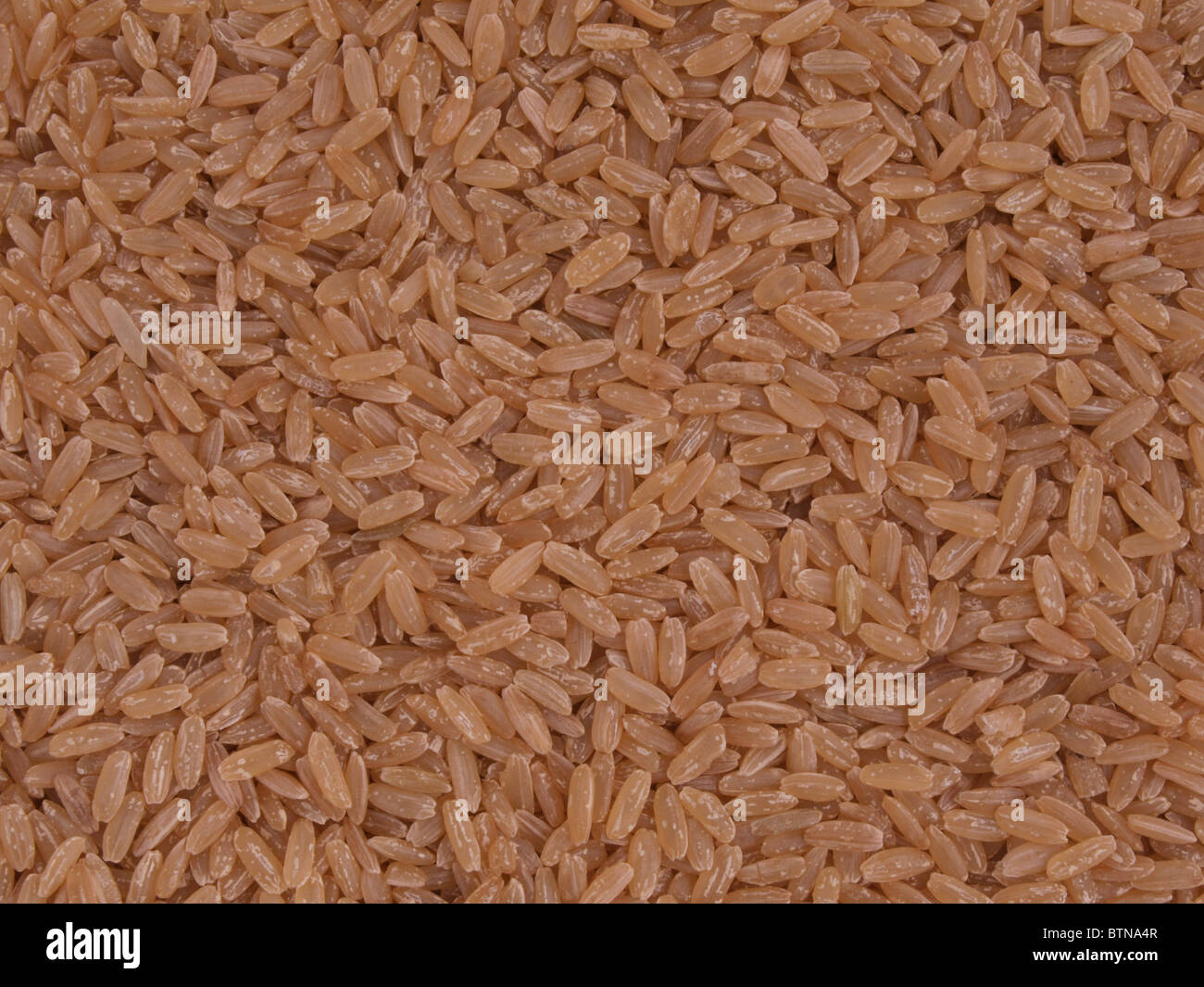 Brown, riso a grani lunghi senza sfondo. Foto Stock
