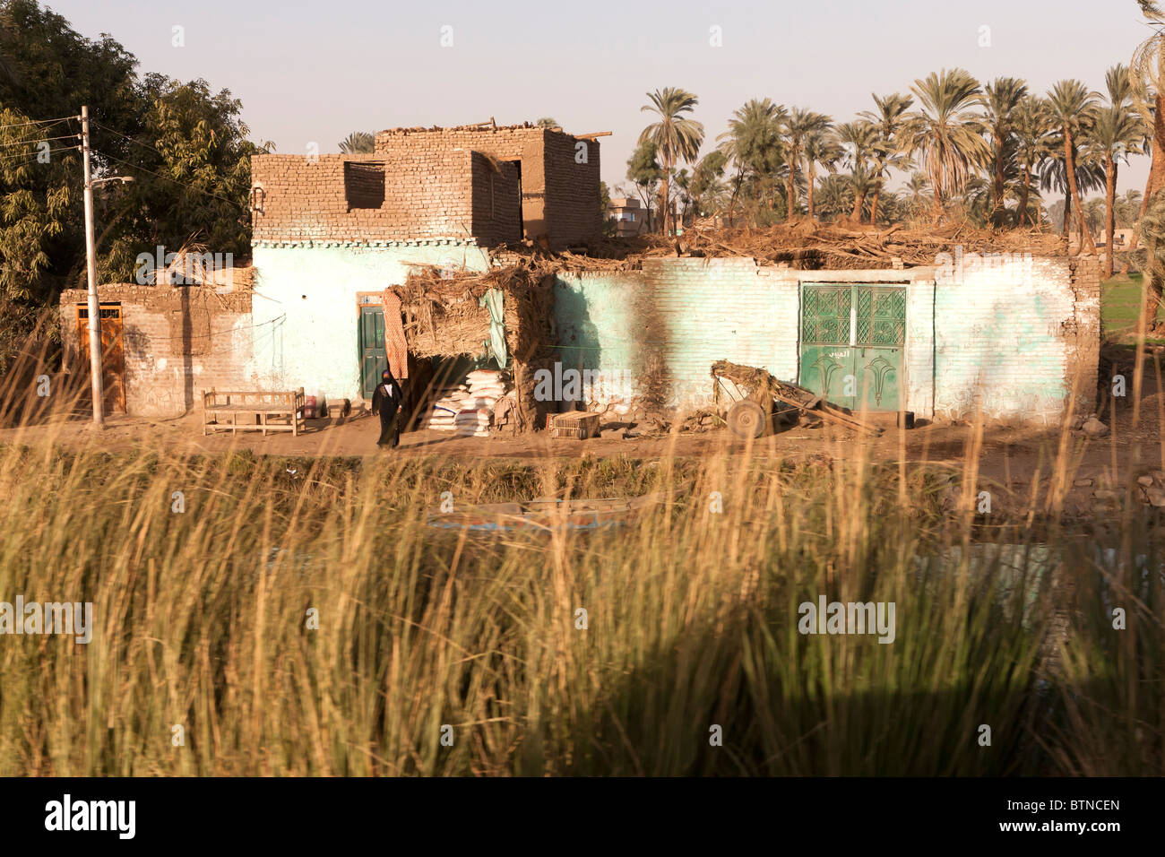 Tradizionale egiziana case a bordo del canale, Luxor, Egitto, Nord Africa Foto Stock