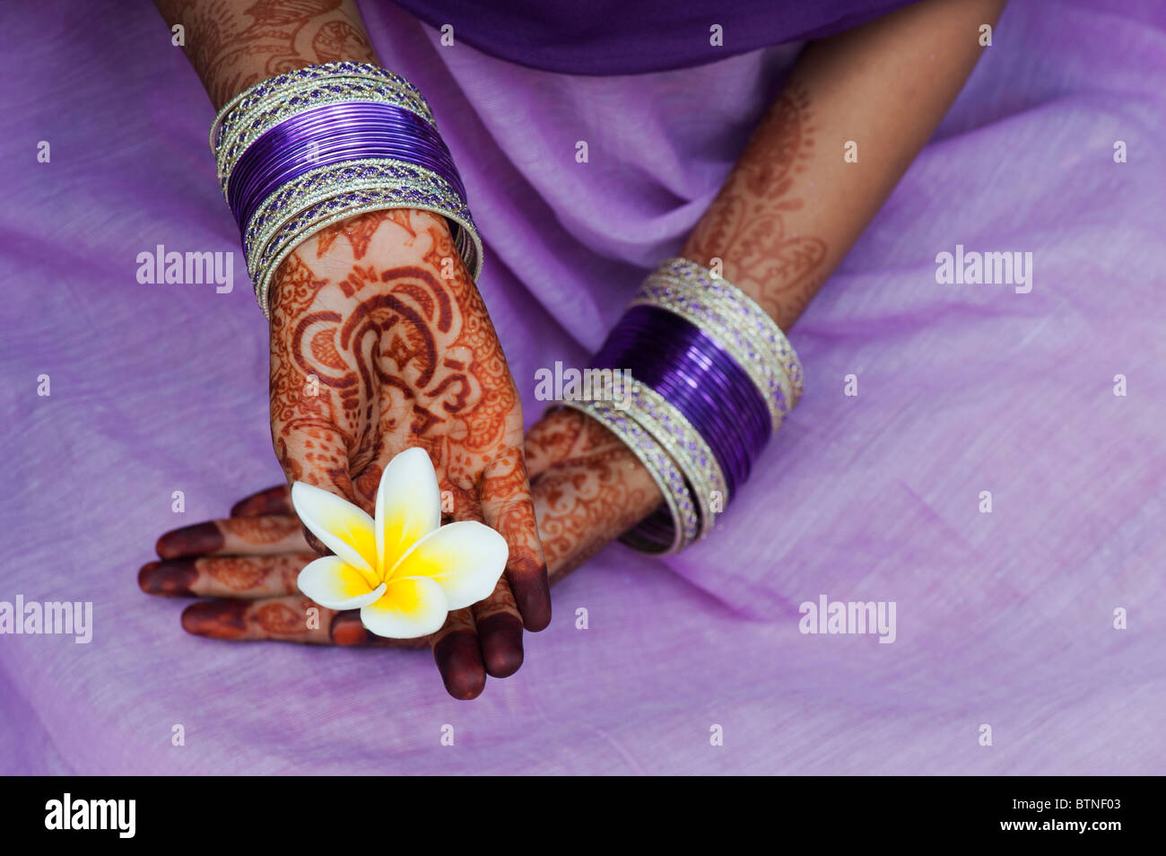 Ragazza indiana indossando un viola sari con henné mani tenendo un fiore di  frangipani. India Foto stock - Alamy