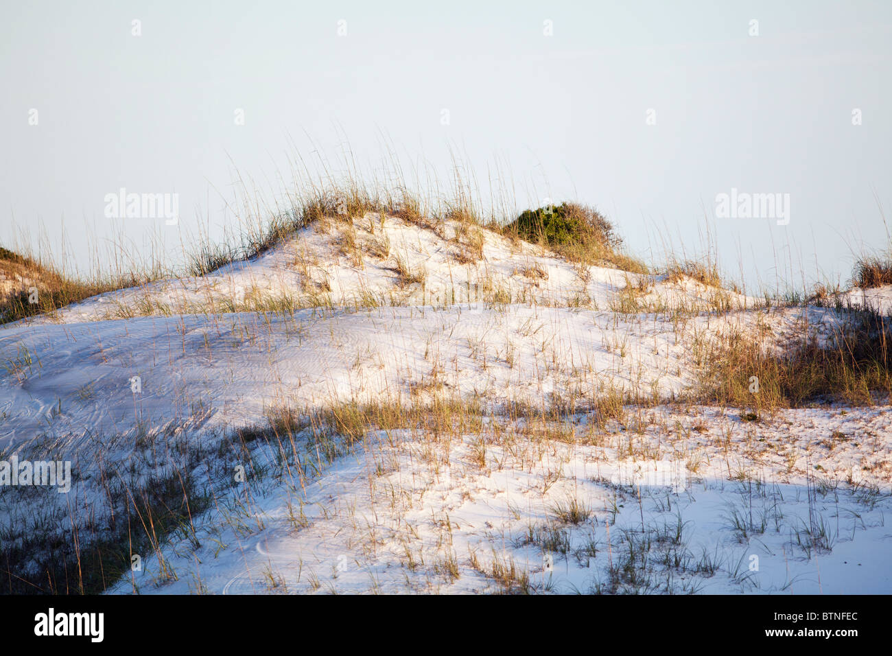 Il rotolamento dune di sabbia sulla costa del Golfo della Florida. Foto Stock