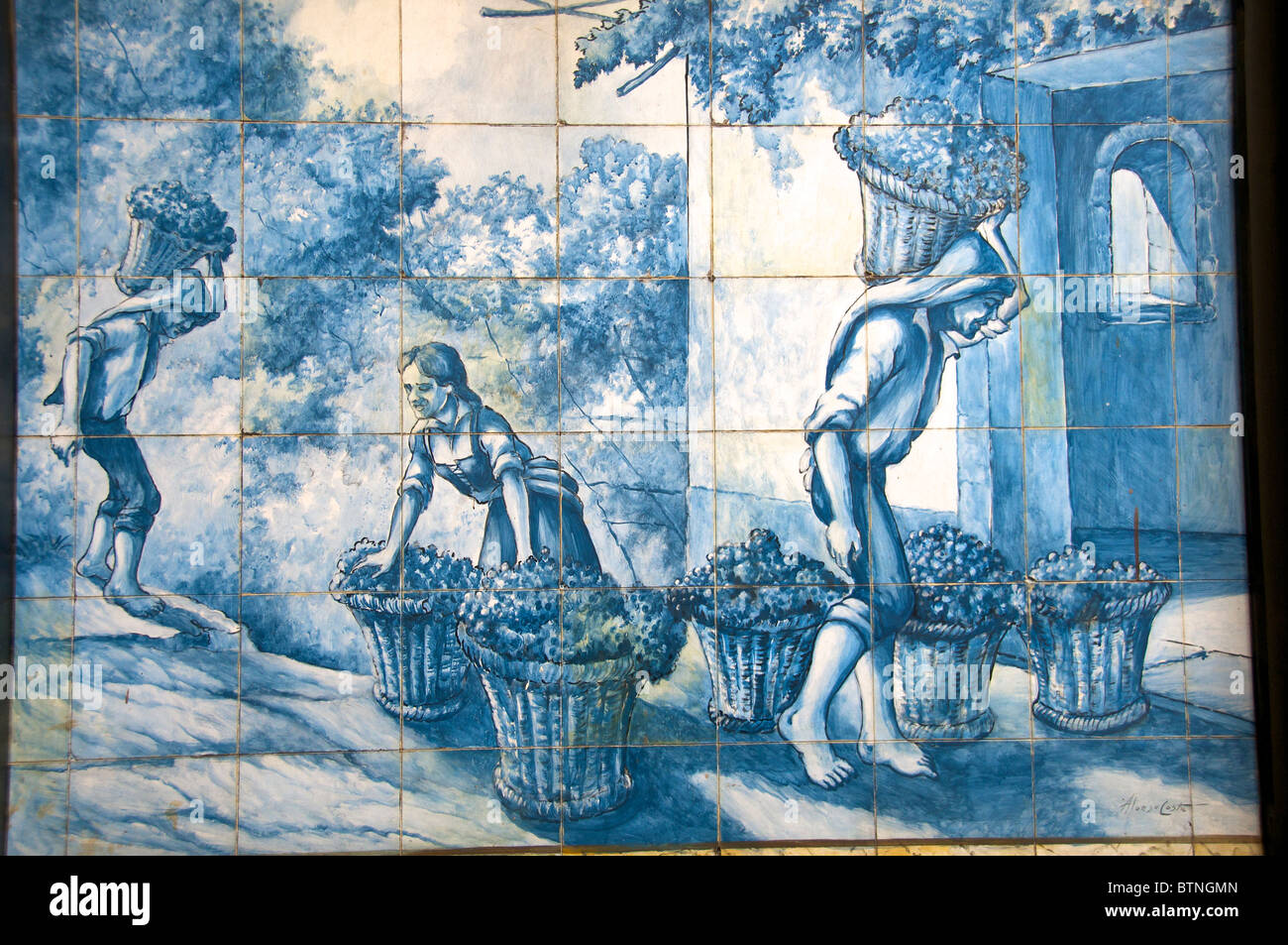 La raccolta di uve scena dipinta su vetri di piastrelle blu Blandy museo del vino Funchal Madeira Portogallo Foto Stock