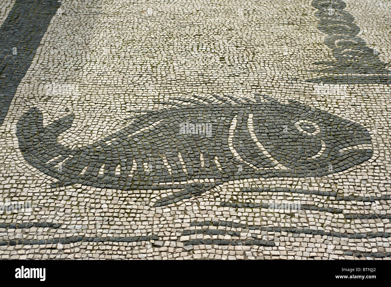 Dettaglio del mosaico. Ostia Antica Roma, Italia Foto Stock