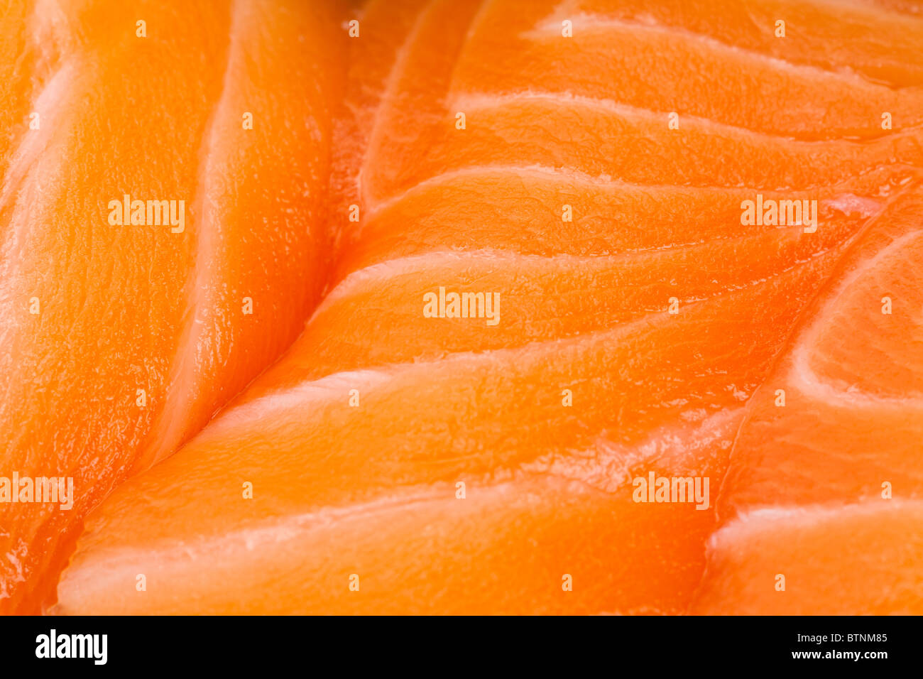 Sashimi close up shot per lo sfondo Foto Stock