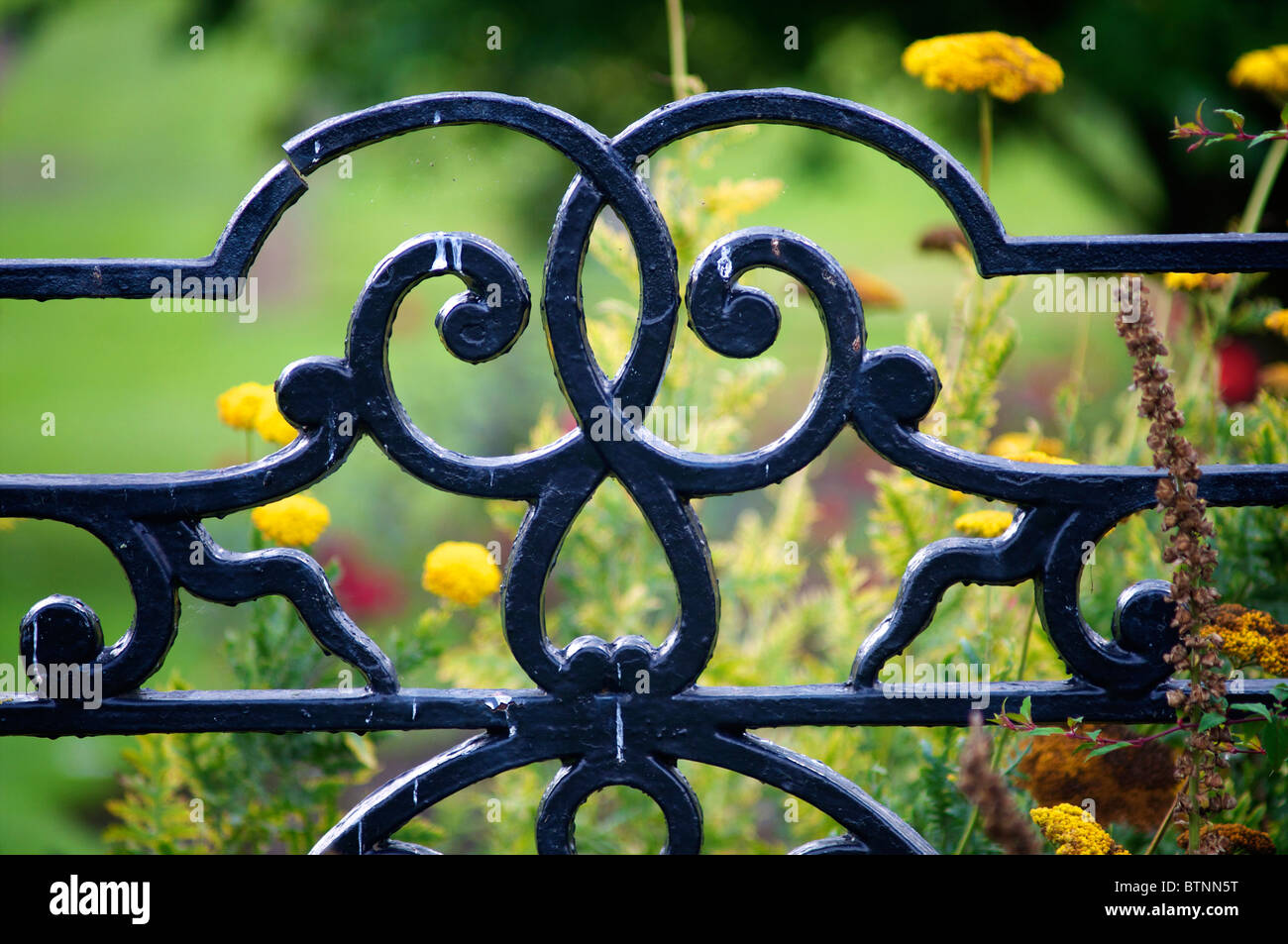 Ferro battuto recinzione dettaglio Foto Stock