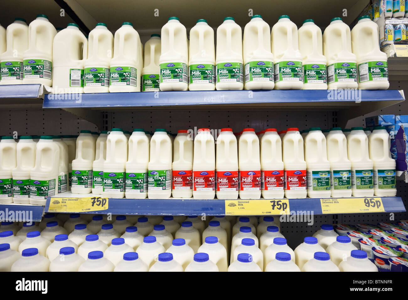 Bottiglie di latte fresco scremato, parzialmente scremato e latte intero in vendita sugli scaffali del supermercato. Inghilterra, Regno Unito, Gran Bretagna. Foto Stock