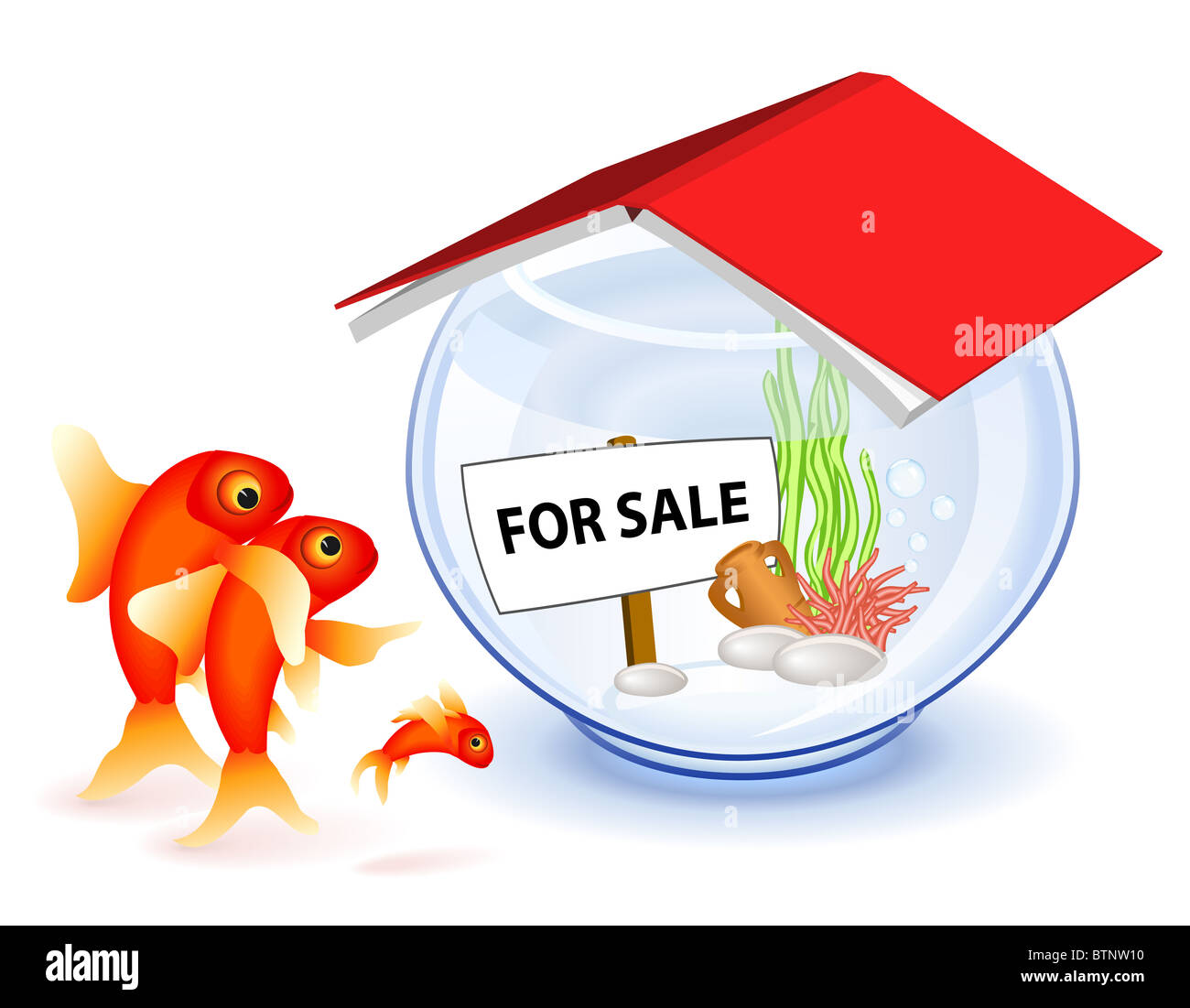 Goldfish famiglia nella parte anteriore della nuova casa Foto Stock