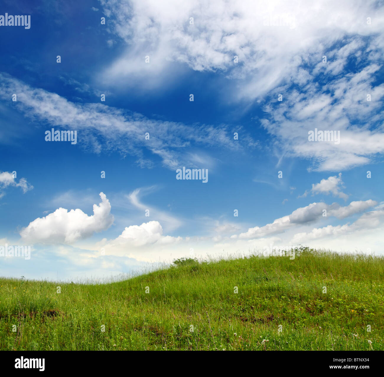 Paesaggio con erba verde colle sotto il cielo blu Foto Stock