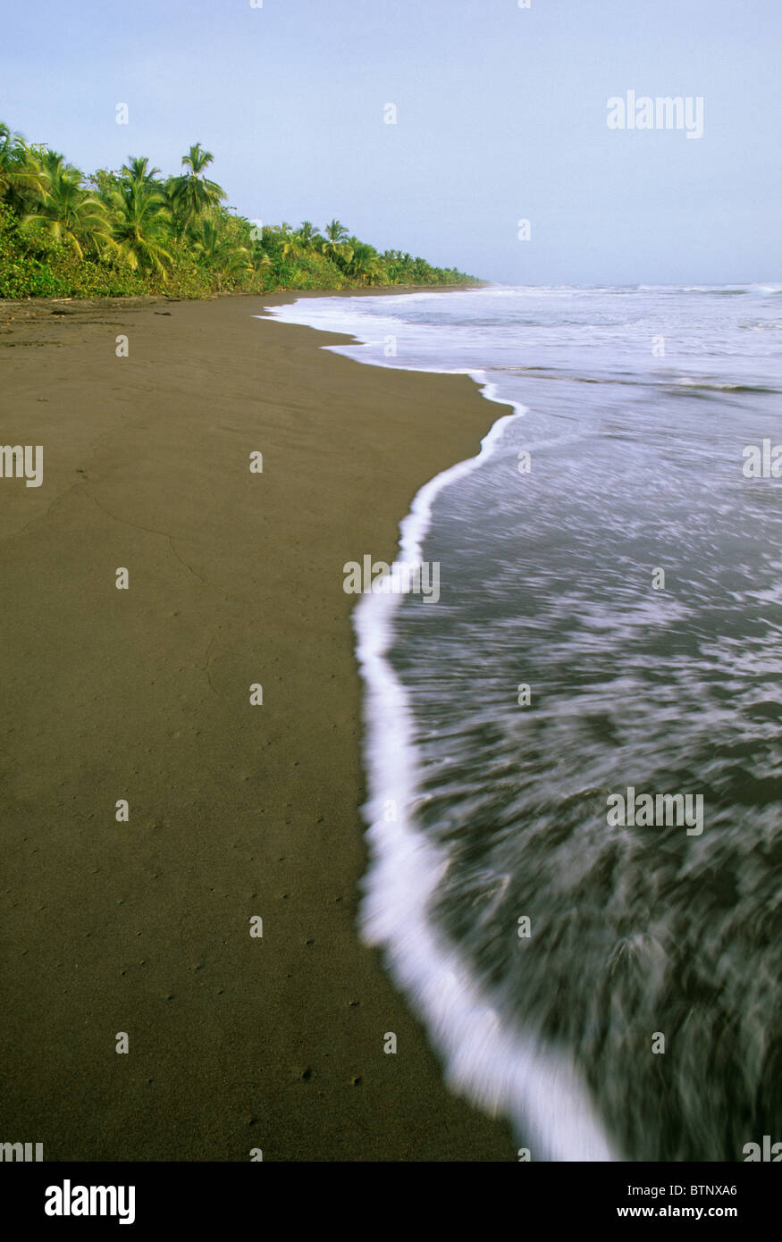 Parco Nazionale di Tortuguero, Costa Rica Foto Stock