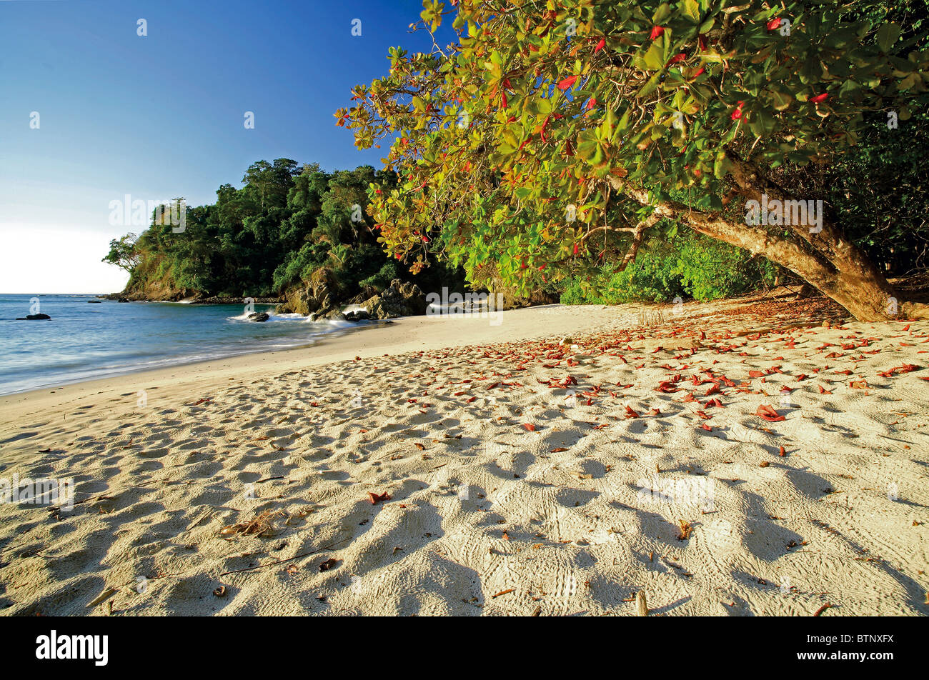 Manuel Antonio Beach, Parco Nazionale di Manuel Antonio, Costa Rica Foto Stock