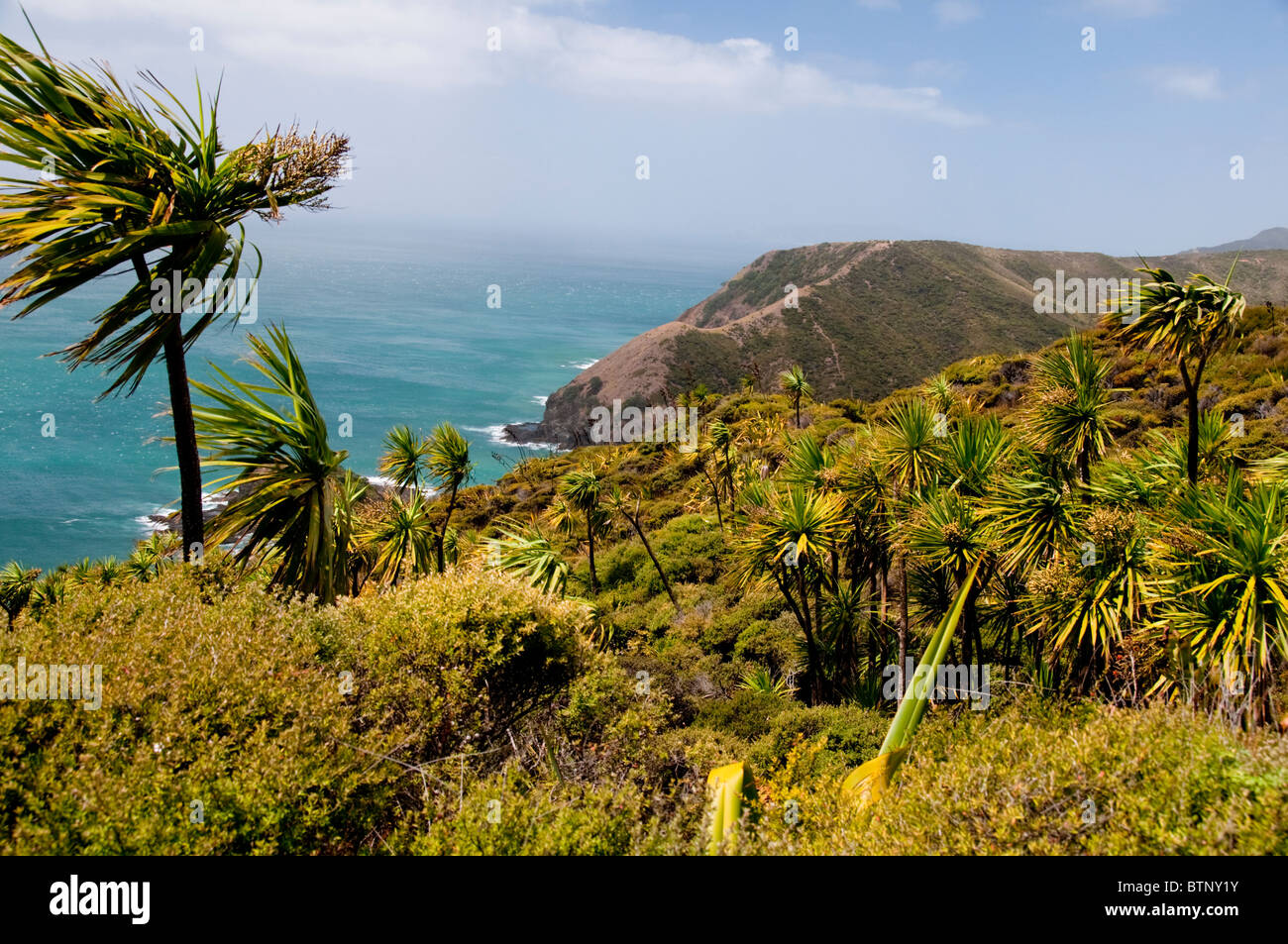 Cape Reinga ,Faro,Cape Maria Van Dieman, spiriti Bay,Te Werahi Beach Motuopao isola, Isola del nord,Nuova Zelanda Foto Stock