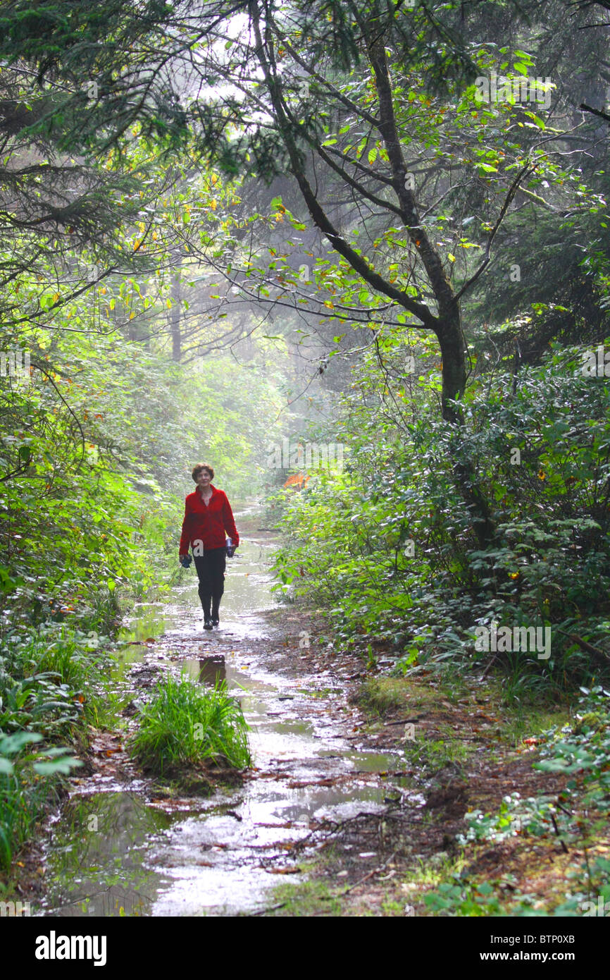 La donna in un cappotto rosso camminando in una nebbiosa foresta umida percorso con forte retroilluminazione. Foto Stock