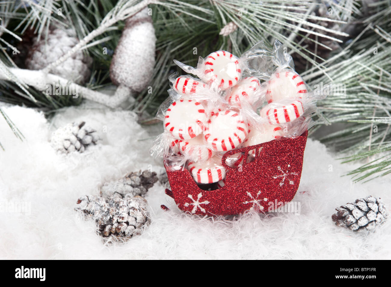 Studio shot impostazione di un natale sleigh riempito con colorati holiday starlight conia impostato in un nevoso, pino sfondo. Foto Stock