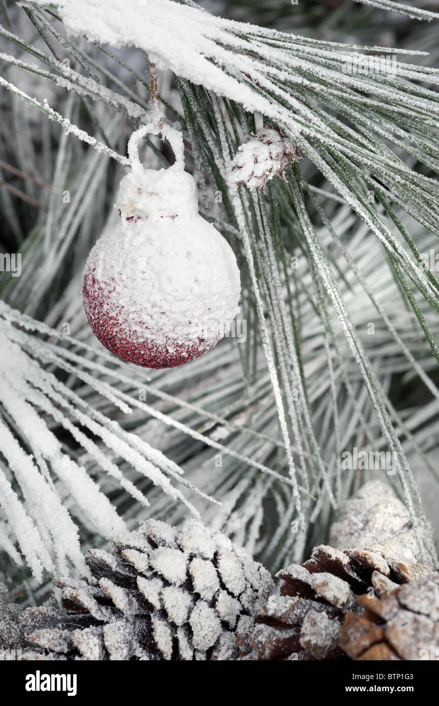 Un congelati ornamento di Natale appeso a un albero di pino filiale a freddo, bianco, snowy outdoor deserto. Foto Stock