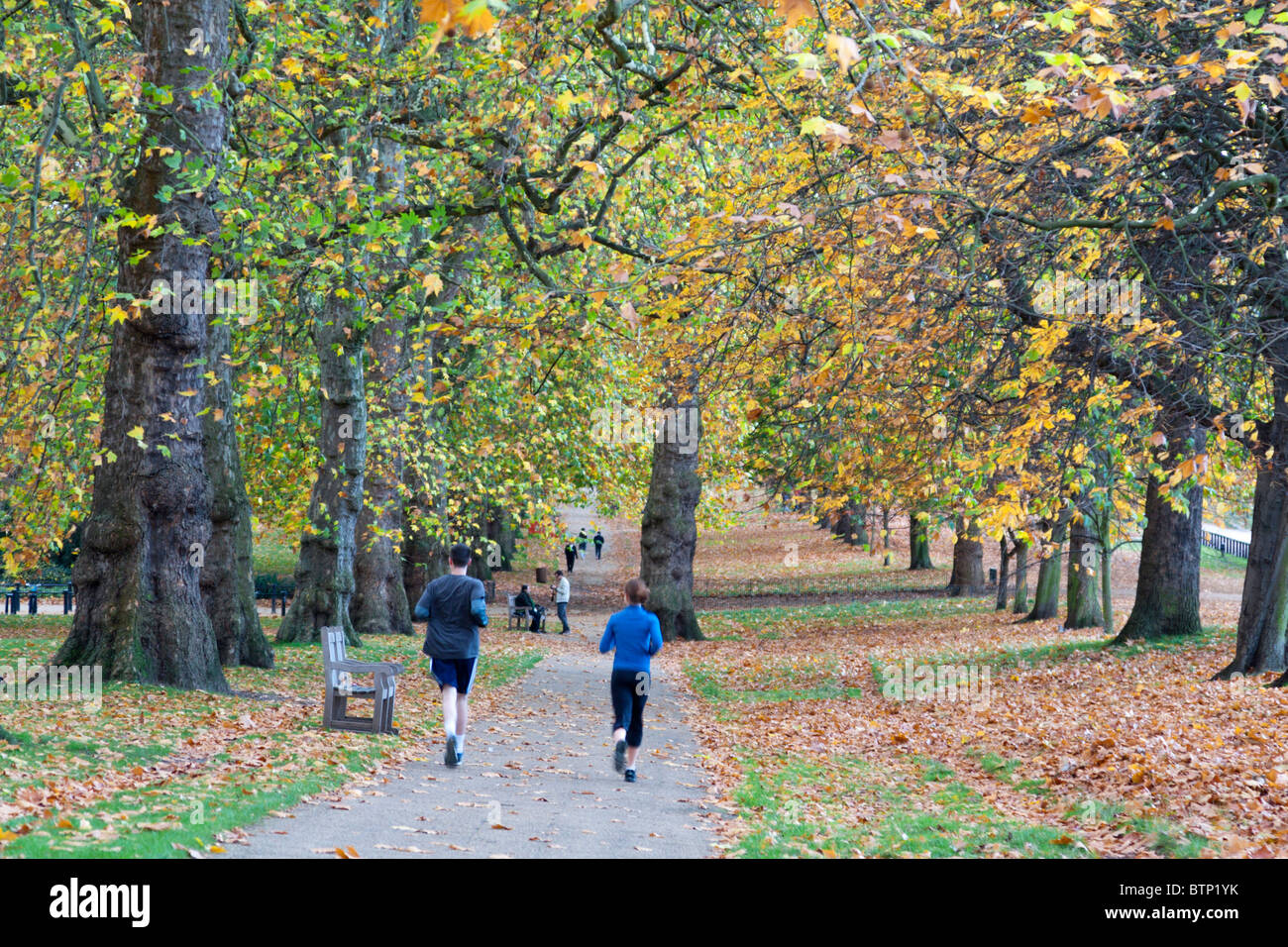 Hyde Park in autunno - Londra Foto Stock