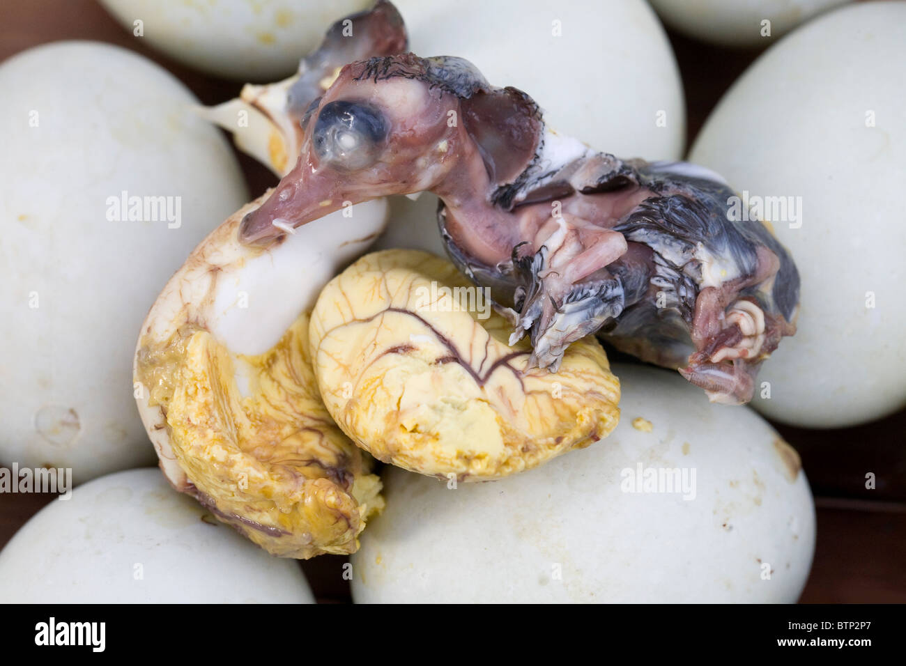 L embrione esposta da un balut, o sode fertilizzato Duck egg, raffigurato in Oriental Mindoro, Filippine. Foto Stock
