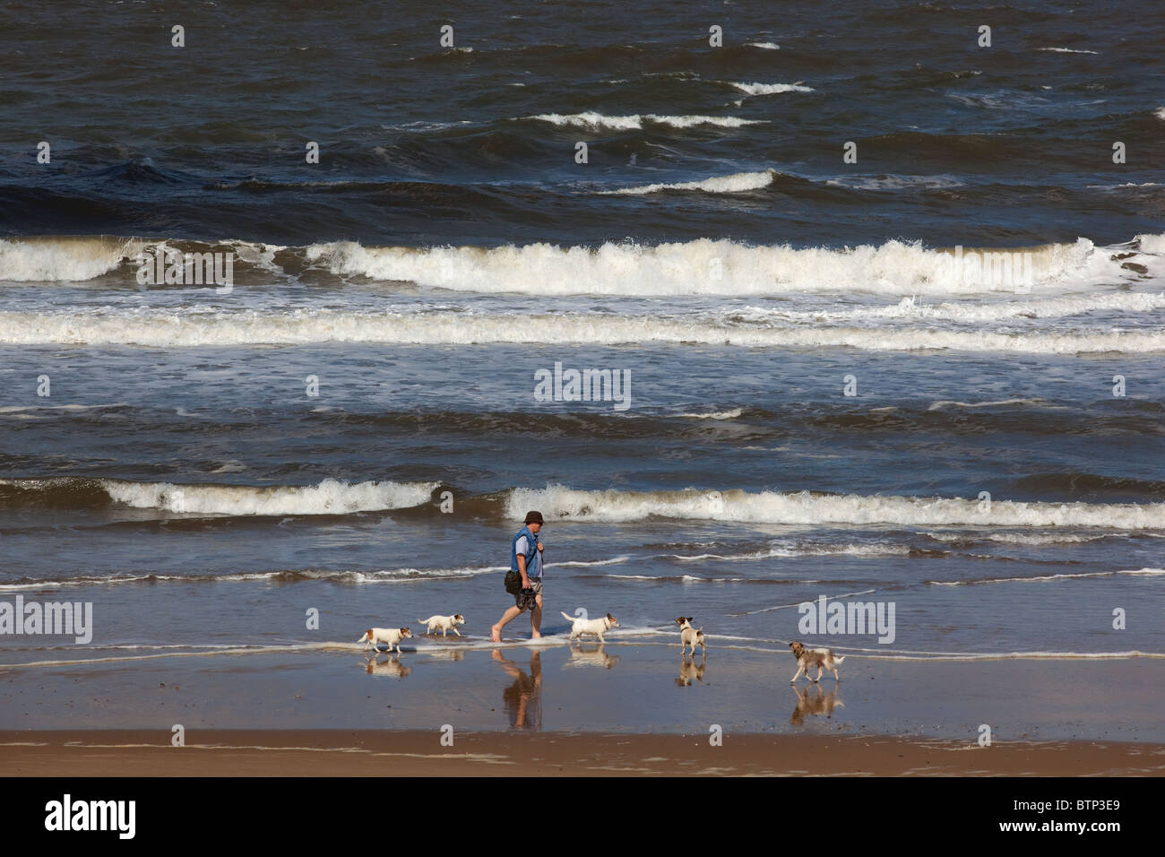 Spiaggia Holkham Riserva Naturale Nazionale NORFOLK REGNO UNITO verso la metà di settembre Foto Stock