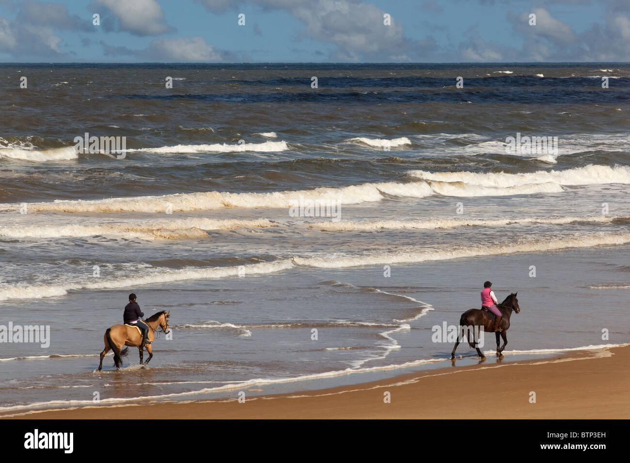 Spiaggia Holkham Riserva Naturale Nazionale NORFOLK REGNO UNITO verso la metà di settembre Foto Stock