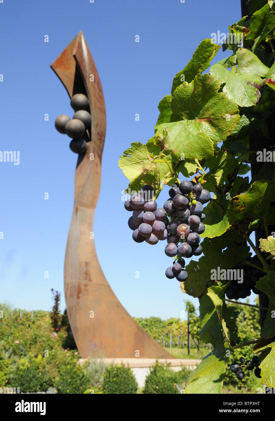 " Vino a Piedi con art' un ben segnato il percorso attorno ad una vigna che aveva commissionato a tema sculture di acciaio.Landau Nußdorf Germania Foto Stock