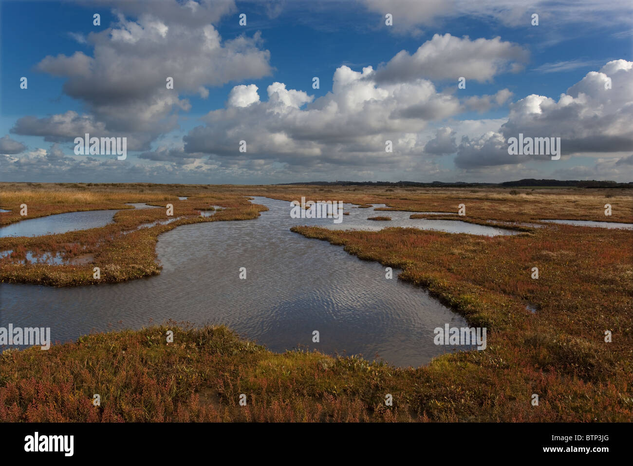 Stiffkey saline della Costa North Norfolk Foto Stock