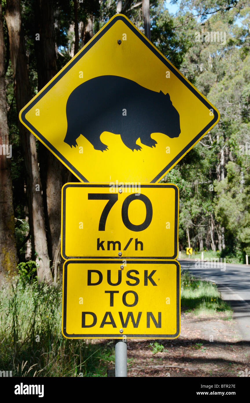 Australia, Central Victoria, Trentham, Wombat segno e segnale di limite di velocità Foto Stock