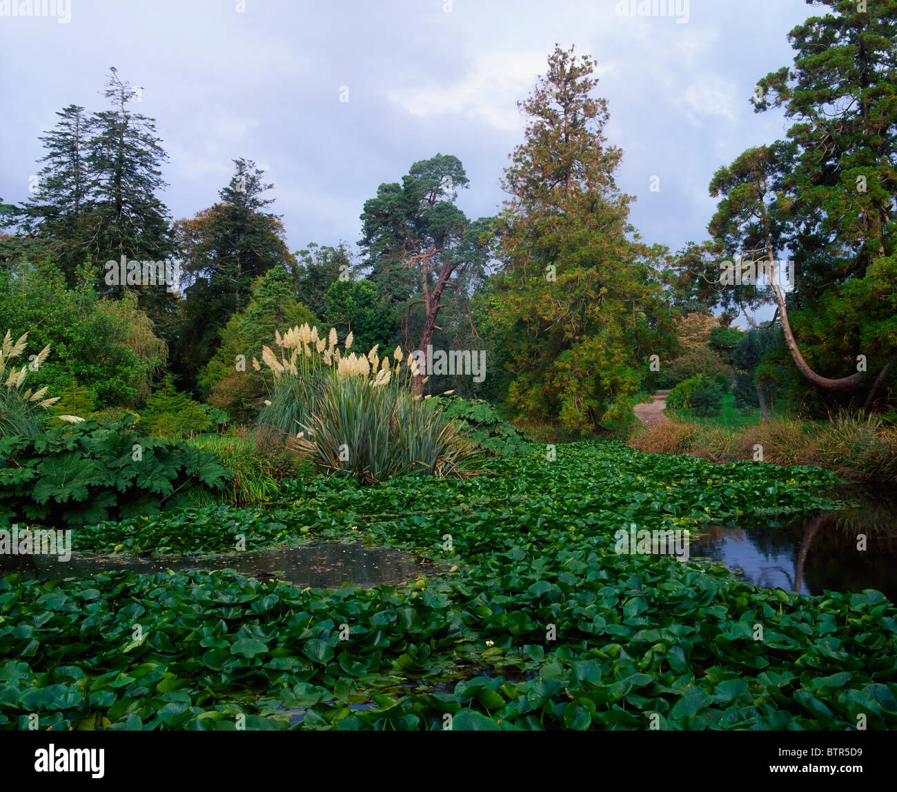 La Fota House e giardini, Fota Island, Co Cork, Irlanda; Arboretum Foto Stock