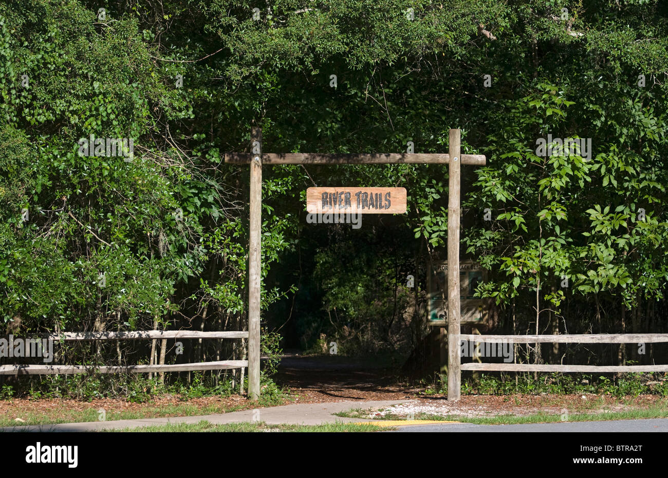 Fiume d'Argento Stato Parco Ocala Florida ingresso al fiume sentieri escursionistici Foto Stock