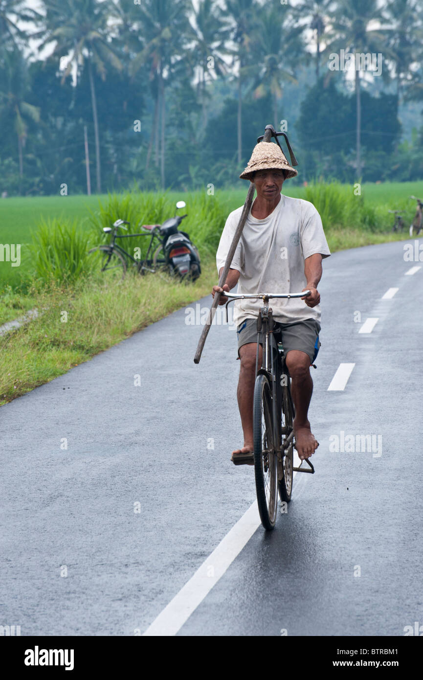 Lavoratore di riso sul ciclo di rastrello portante sulla sua spalla Foto Stock