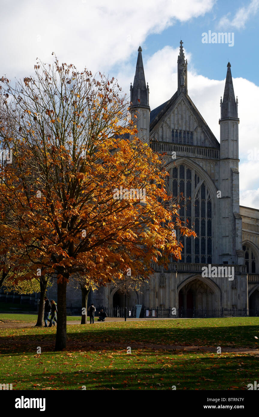 Il west end di Winchester Cathedral ai primi di novembre con alberi che mostra golden colori autunnali. Foto Stock