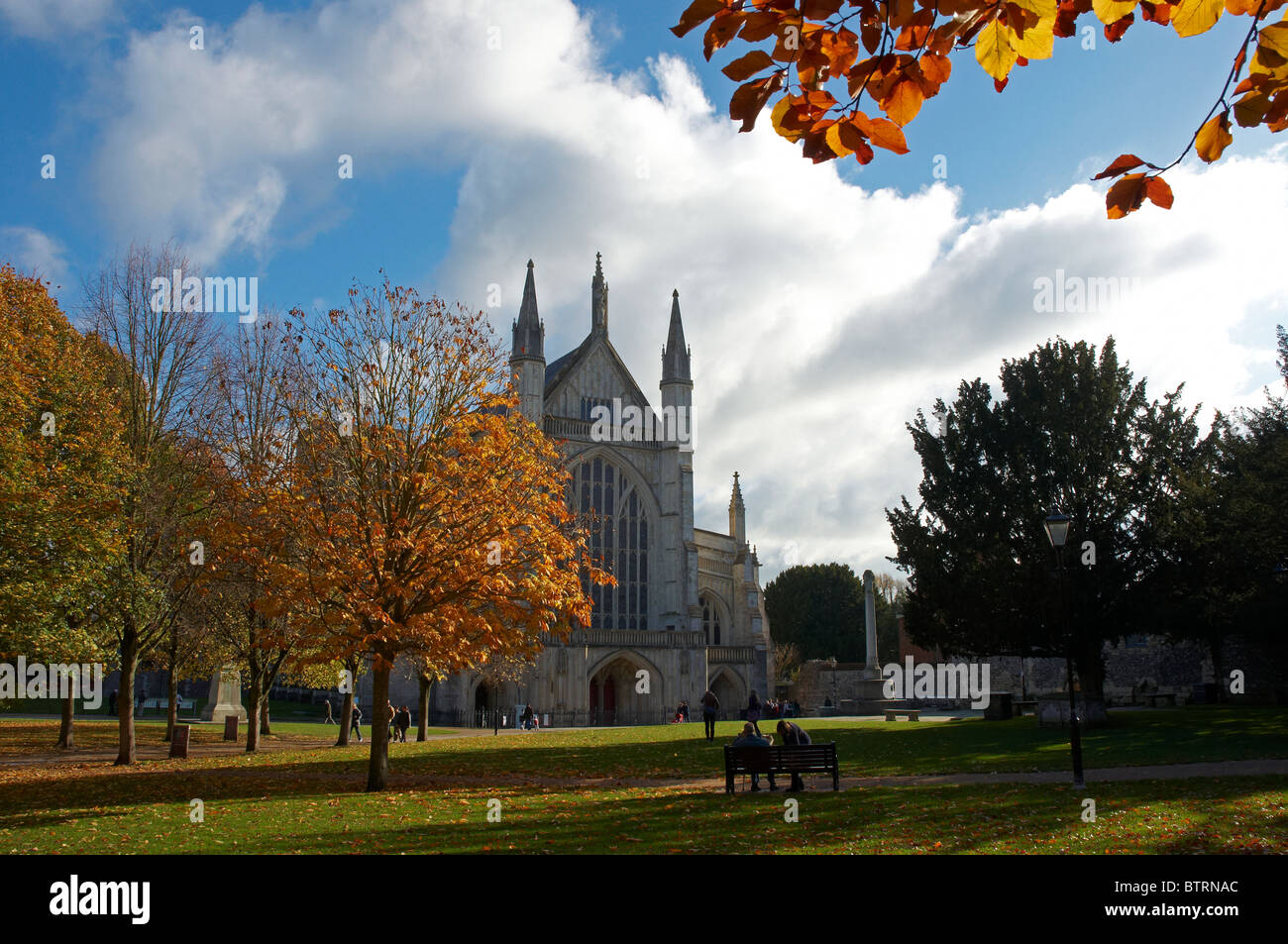Il west end di Winchester Cathedral ai primi di novembre con alberi che mostra golden colori autunnali. Foto Stock