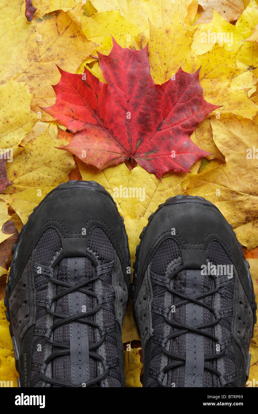 Un nuovo e pulito paio di scarpe da passeggio su foglie autunnali cadute, Regno Unito Foto Stock