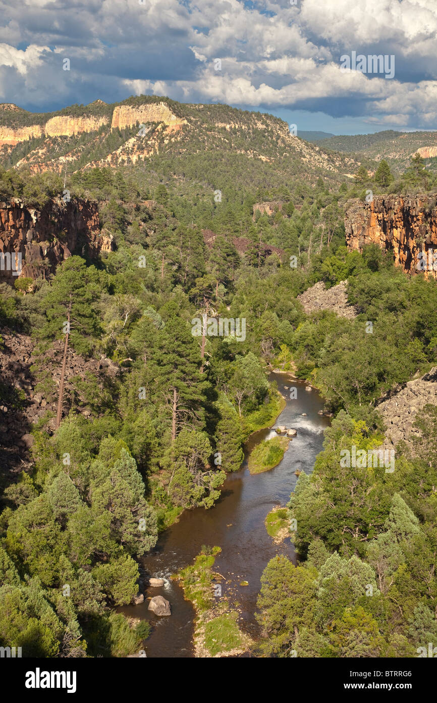 Forcella a nord del Fiume Bianco fluisce nel canyon su Fort Apache Indian Reservation, Whiteriver, Arizona, Stati Uniti d'America Foto Stock