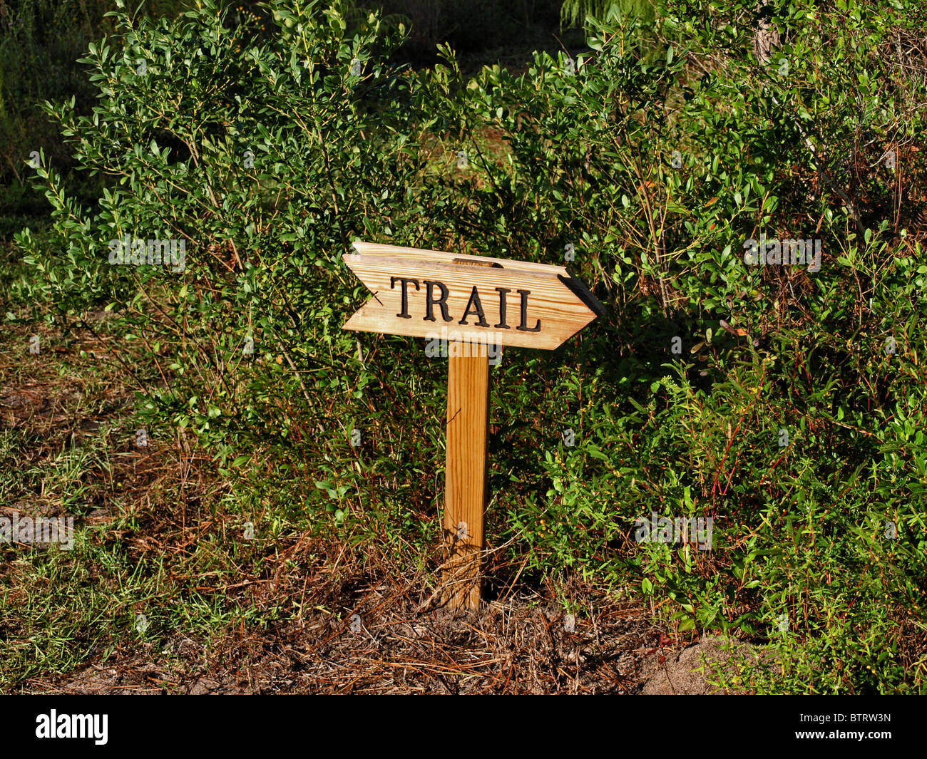 Segnavia freccia nel sentiero in legno verde post bussole 'word sentiero direzionale" Foto Stock