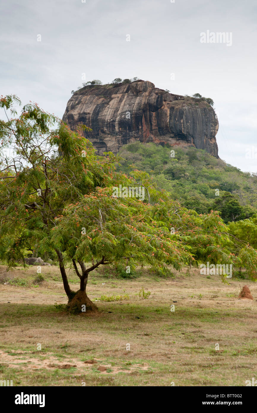 Sigiriya rock fortezza, Sri Lanka Foto Stock